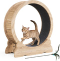 Tapis de course - Mondeer Roue pour Chat d'intérieur avec Piste Moquette