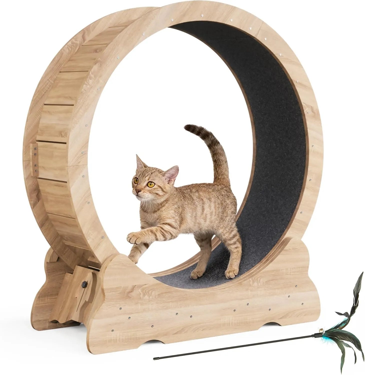 Tapis de course - Mondeer Roue pour Chat d'intérieur avec Piste Moquette