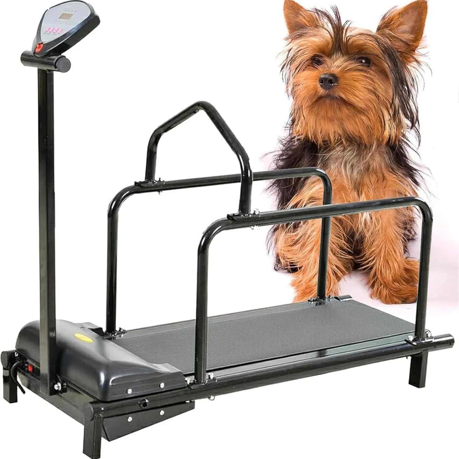 Tapis roulant pour chien - Tapis Roulant pour Animaux de Compagnie, 80 kg