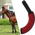 Appareil De Luminothérapie LED Rouge Pour Cheval – affichage LED