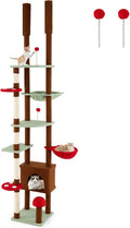 Arbre a Chat Plafond