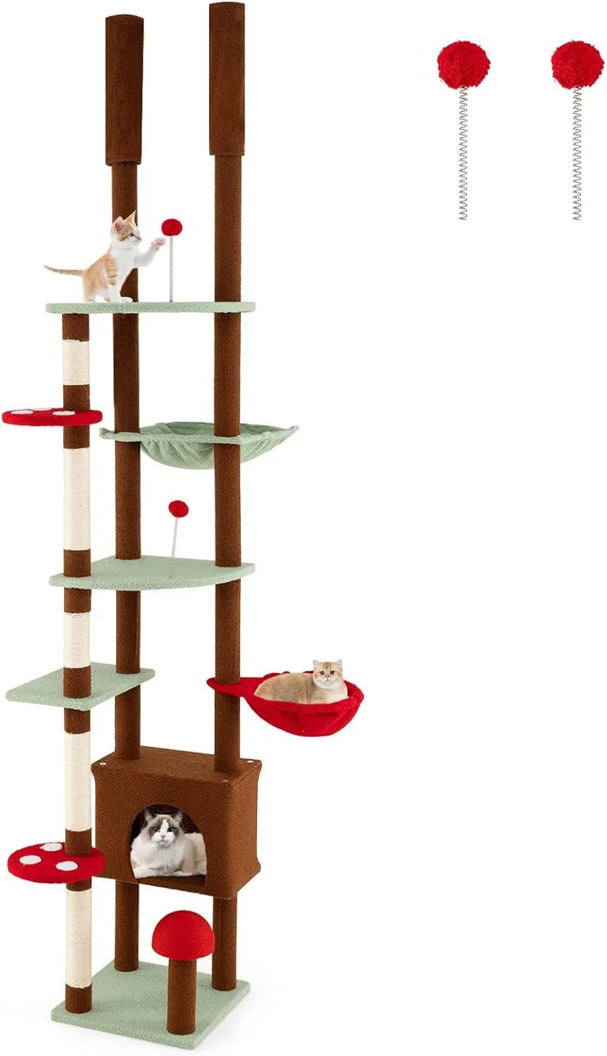 Arbre a Chat Plafond