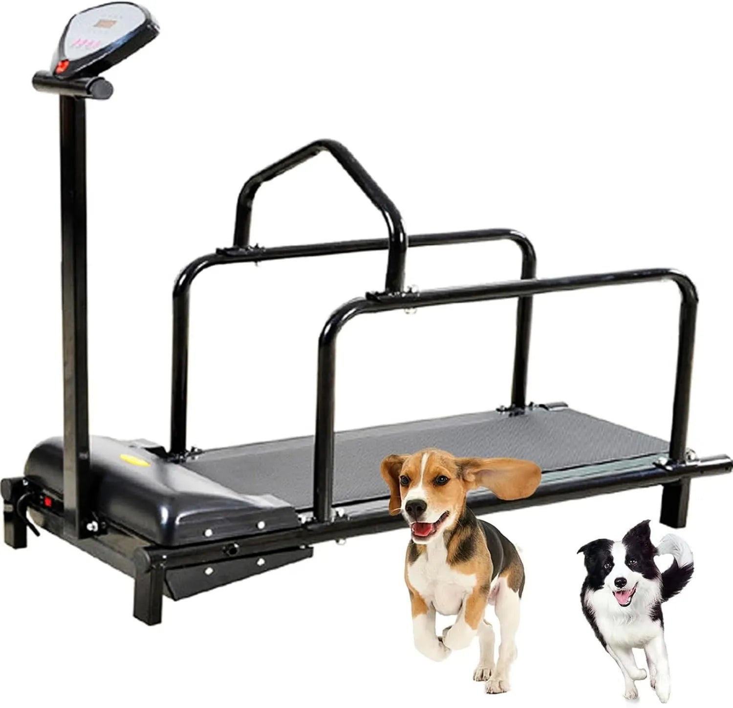 Tapis roulant pour chien – Plage De Vitesse 0, 100 Kg