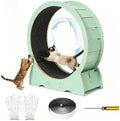 Roue d'exercice pour chat – structure en bois, fonctionnement silencieux