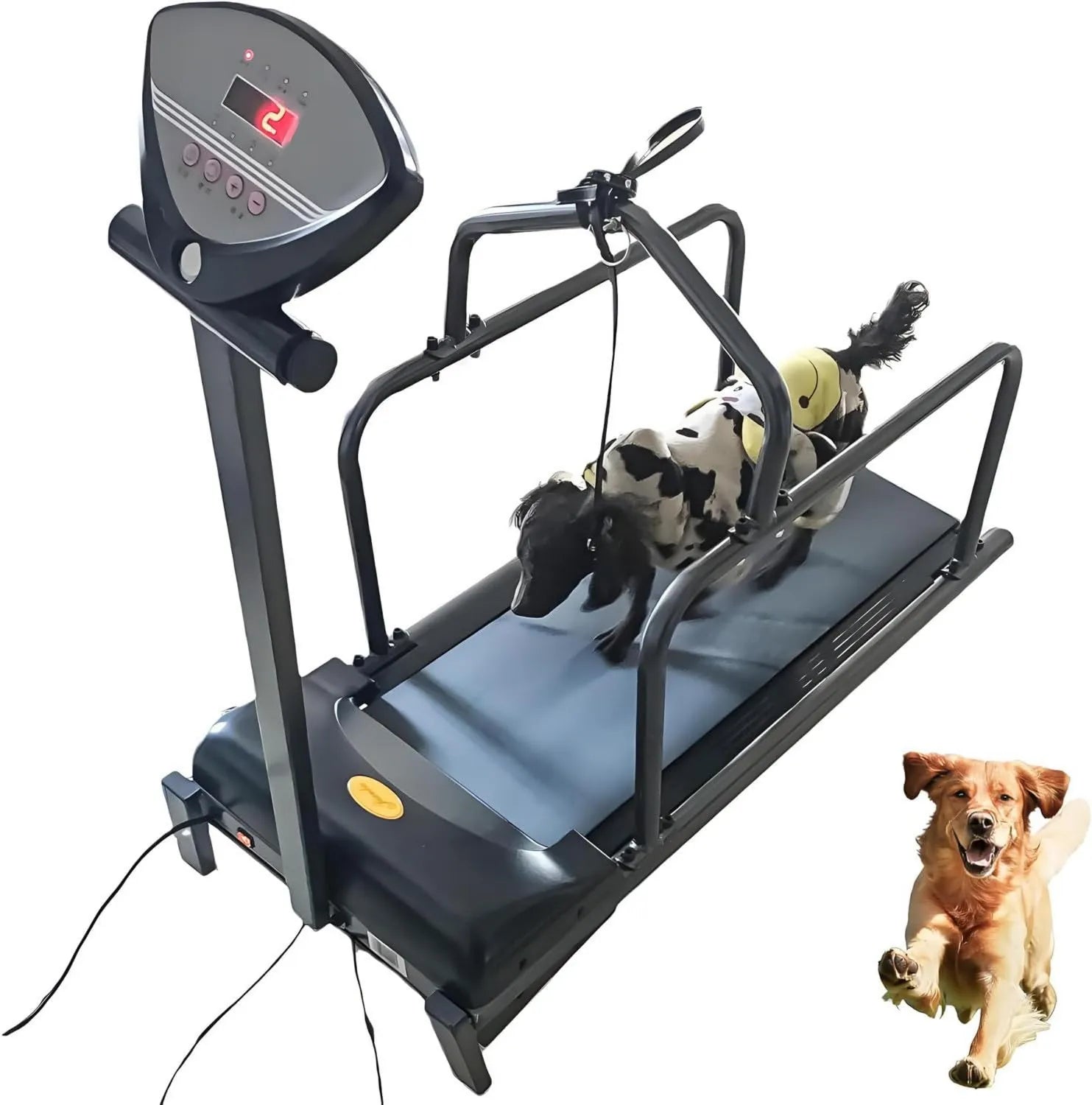 Tapis roulant pour chien - fonctionnement silencieux, vitesse réglable, avec écran, 80kg