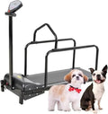 Tapis roulant pour chien – affichage LED, avec écran