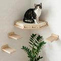 Étagère Murale pour Chat avec étagère d'angle pour Chat et – 10 kg