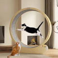 Tapis roulant pour chien - fonctionnement silencieux, Tunnel Pour Chat/Roue D'Exercice Pour Chat D'Intérieur