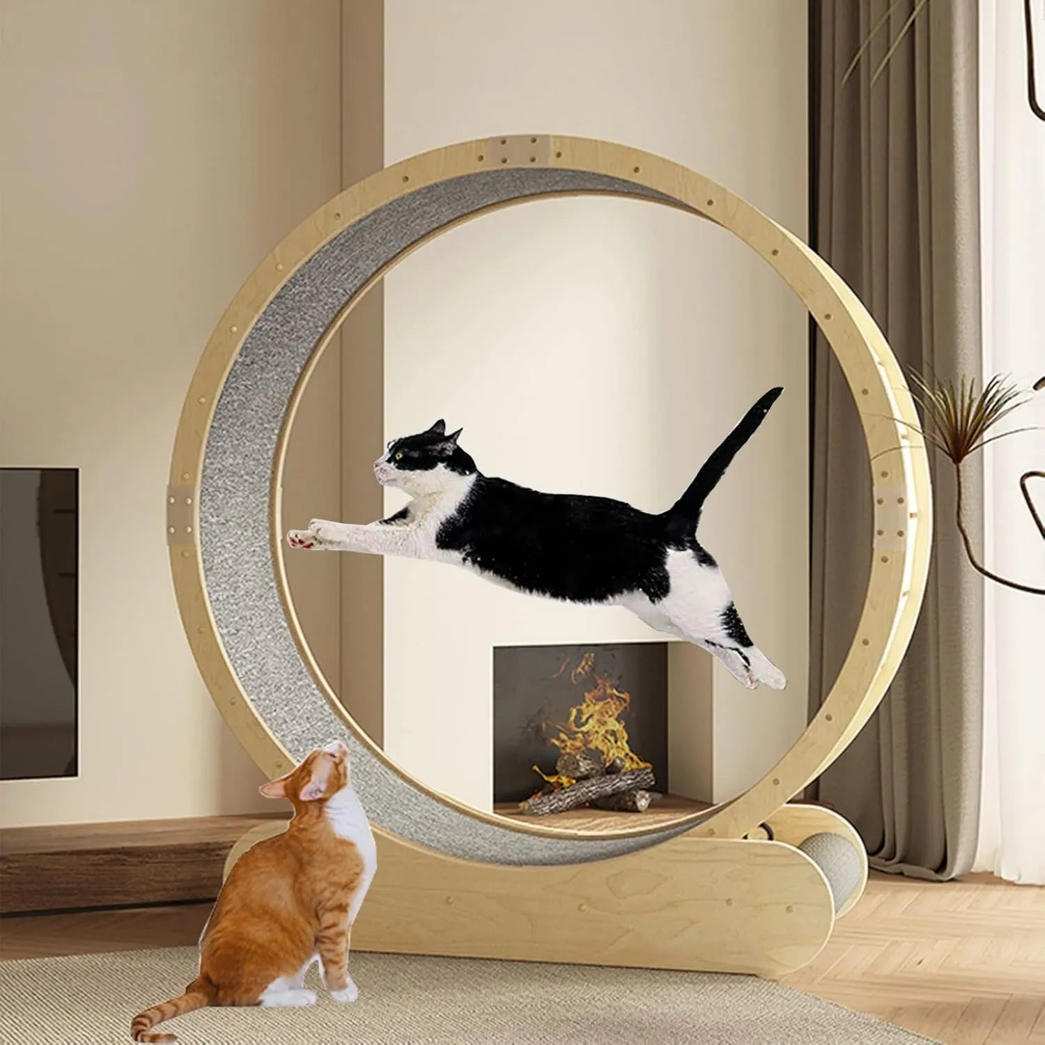 Tapis roulant pour chien - fonctionnement silencieux, Tunnel Pour Chat/Roue D'Exercice Pour Chat D'Intérieur