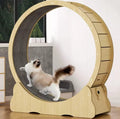 Arbre à chat – Tapis de Course for Chats d'intérieur, noir