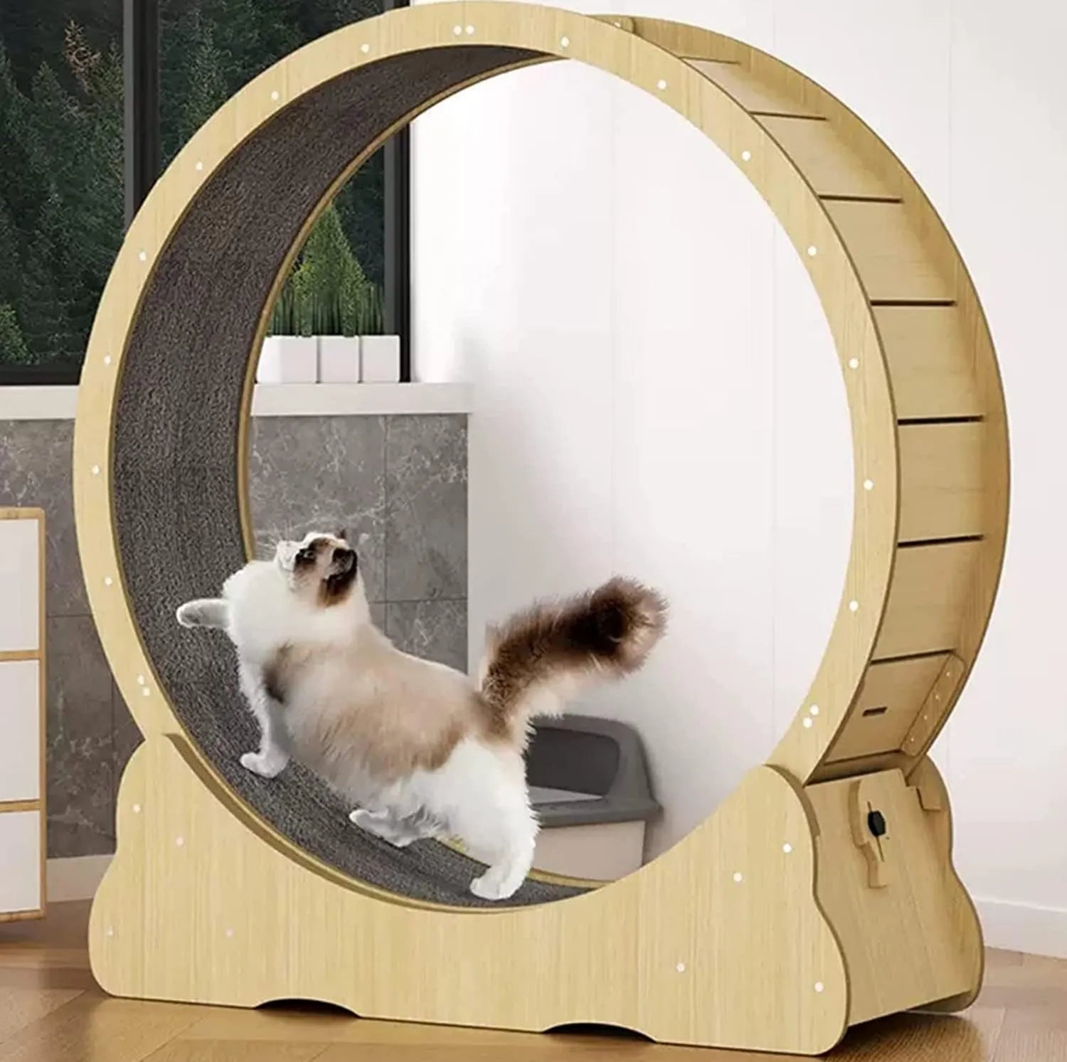 Arbre à chat – Tapis de Course for Chats d'intérieur, noir