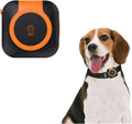 Collier GPS pour animaux: résistant à l'eau, gestion de la santé