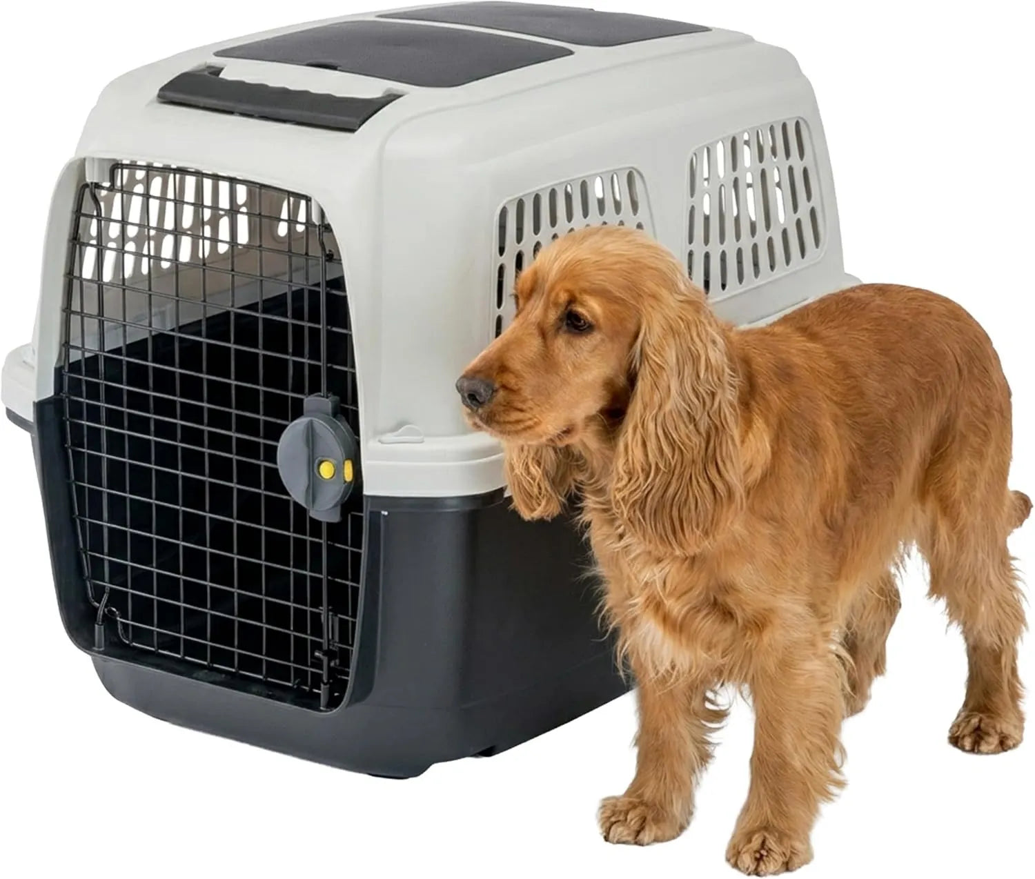 Chenil pour chien - 71 × 50, 20 Kg