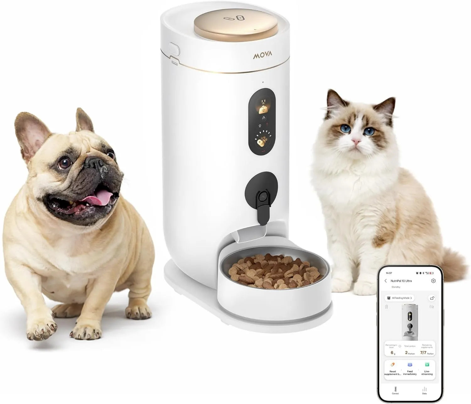 Distributeur automatique de nourriture – avec caméra, avec écran, 1080p, 4 L, 4 Modes