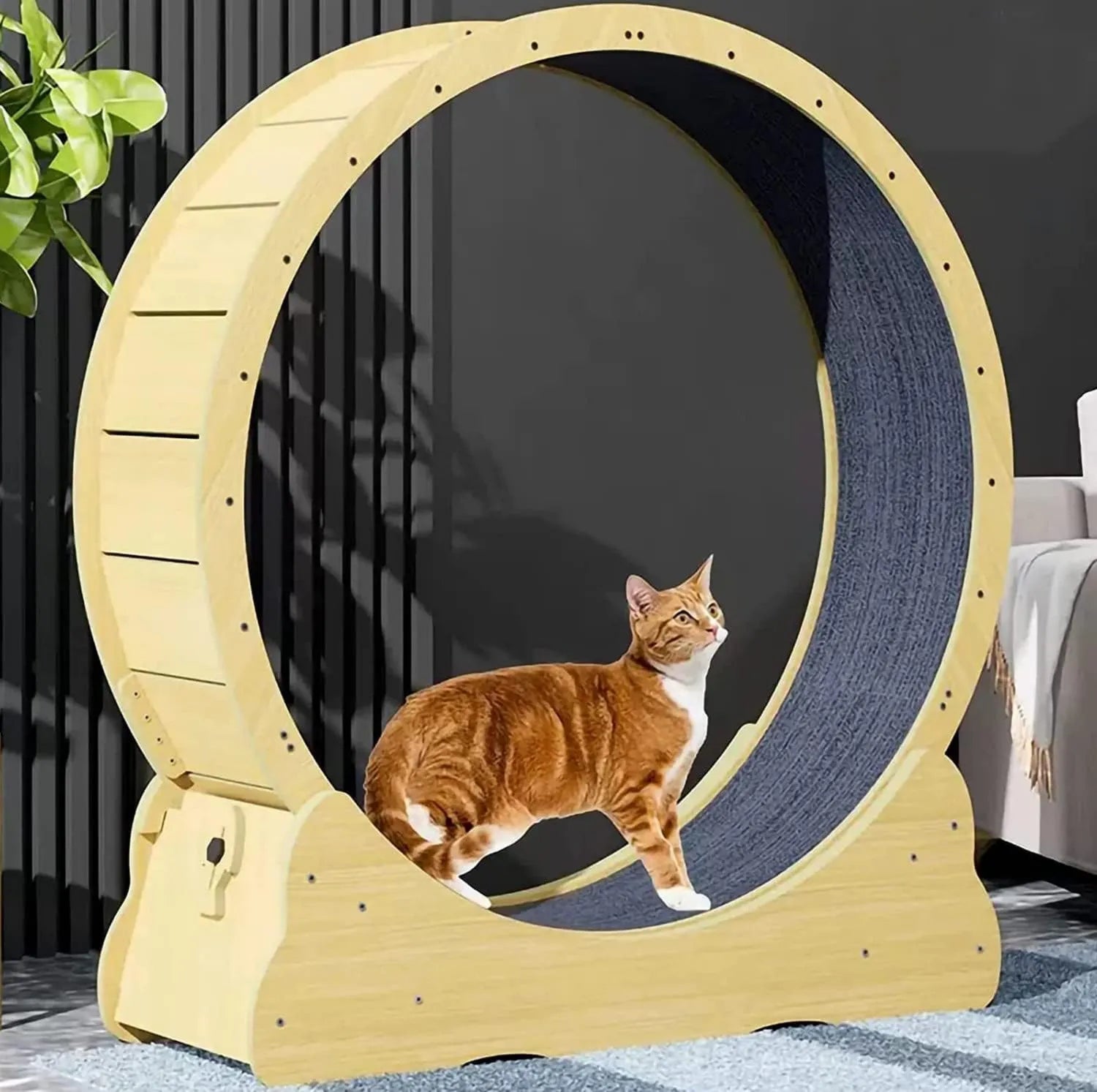 Tapis de course: fonctionnement silencieux, Roue d'exercice silencieuse for Chats d'intérieur