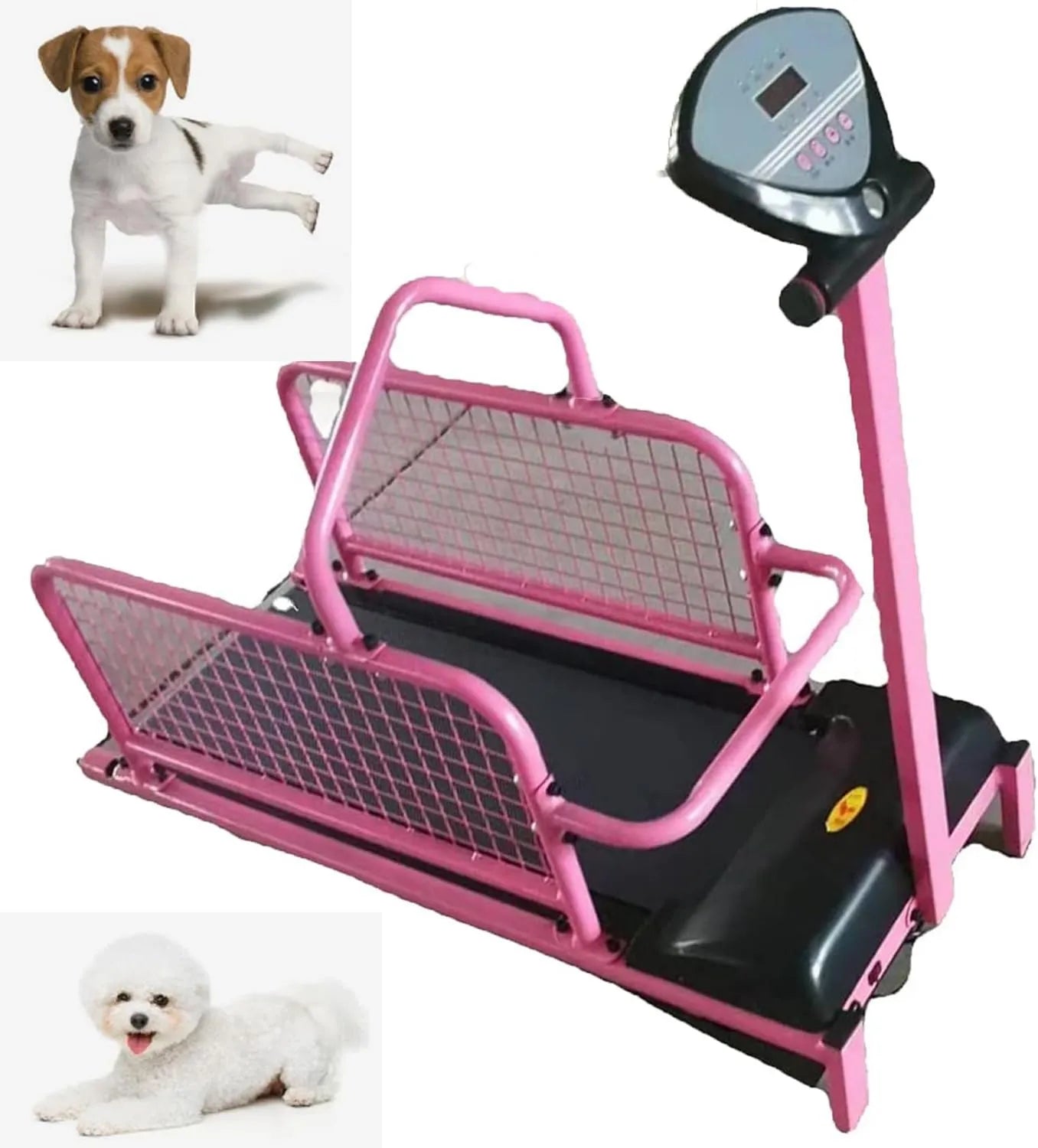 Tapis roulant pour chien: Appareil D'EntraîNement à La Course Pour Chiens