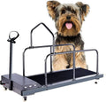 Tapis roulant pour chien: Tapis Roulant d'intérieur