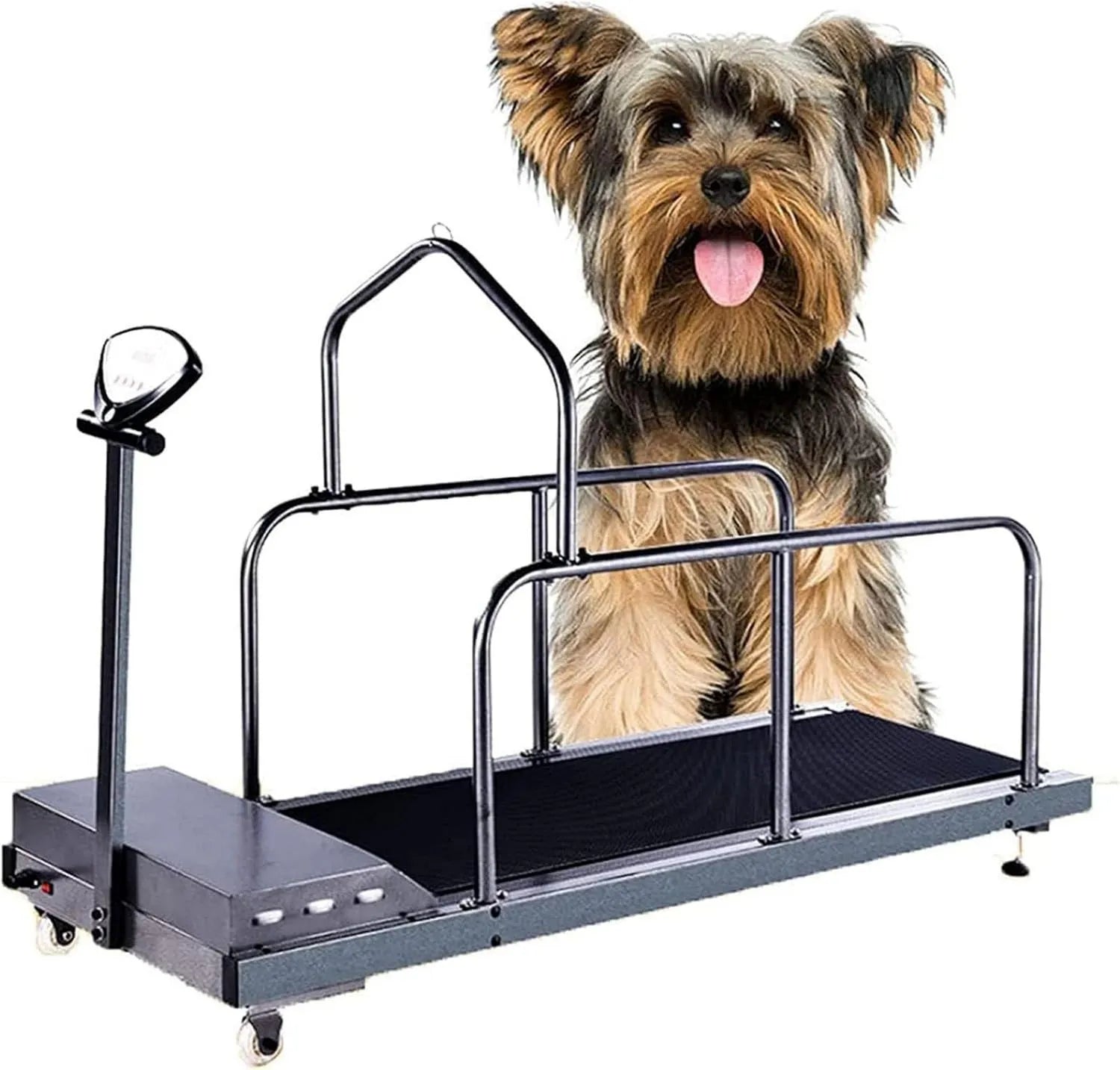 Tapis roulant pour chien: Tapis Roulant d'intérieur